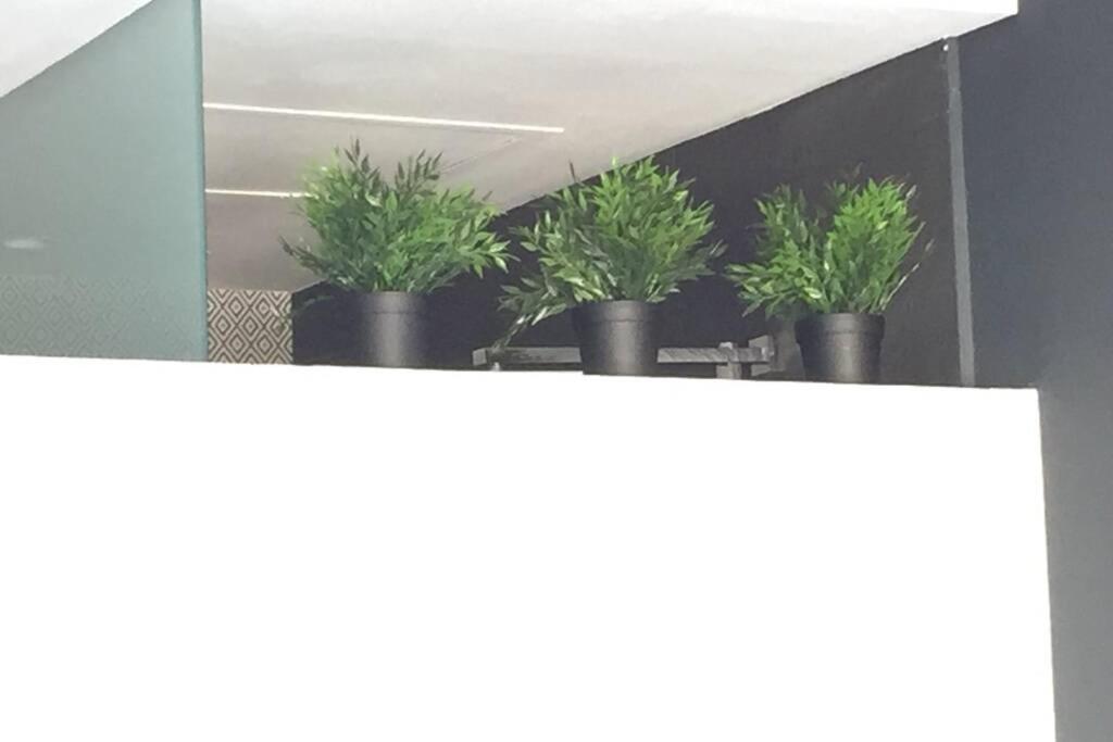 Appartement Imagen *